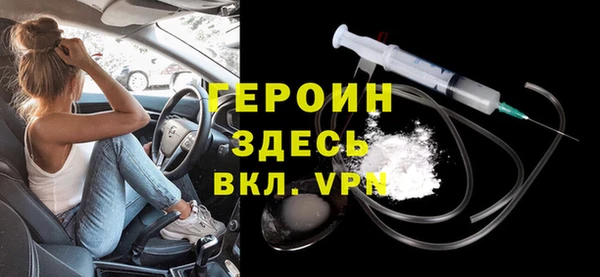 индика Каменногорск