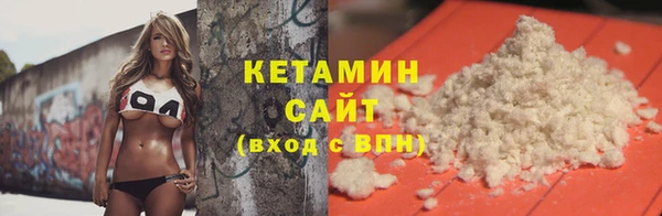 прущие грибы Новосибирск
