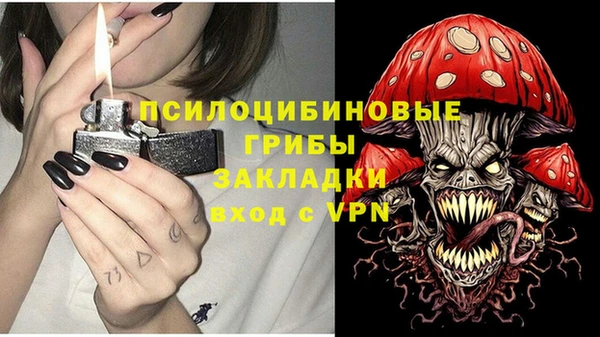 МДПВ Каменка