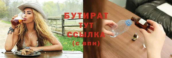 индика Каменногорск