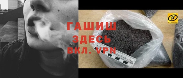 индика Каменногорск