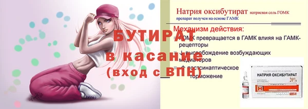 прущие грибы Новосибирск