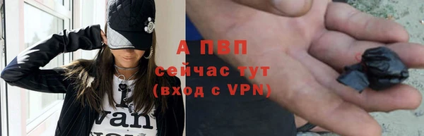 прущие грибы Каменск-Шахтинский