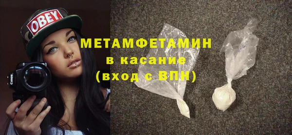 прущие грибы Новосибирск