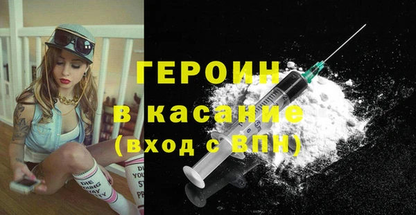 индика Каменногорск
