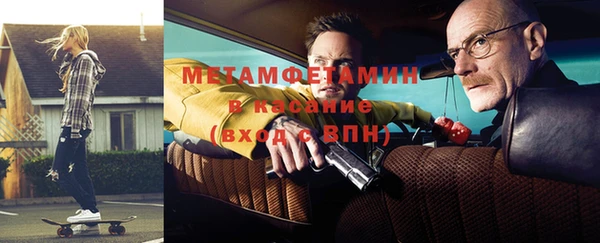 индика Каменногорск