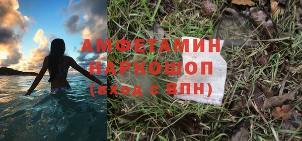 МДПВ Каменка