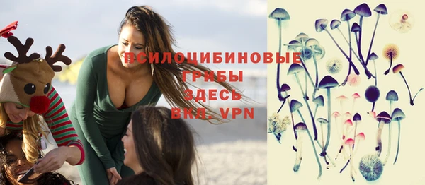 МДПВ Каменка