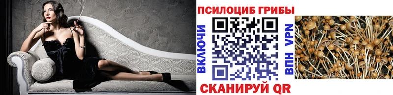 Псилоцибиновые грибы мухоморы  Купить закладки  Малоархангельск 